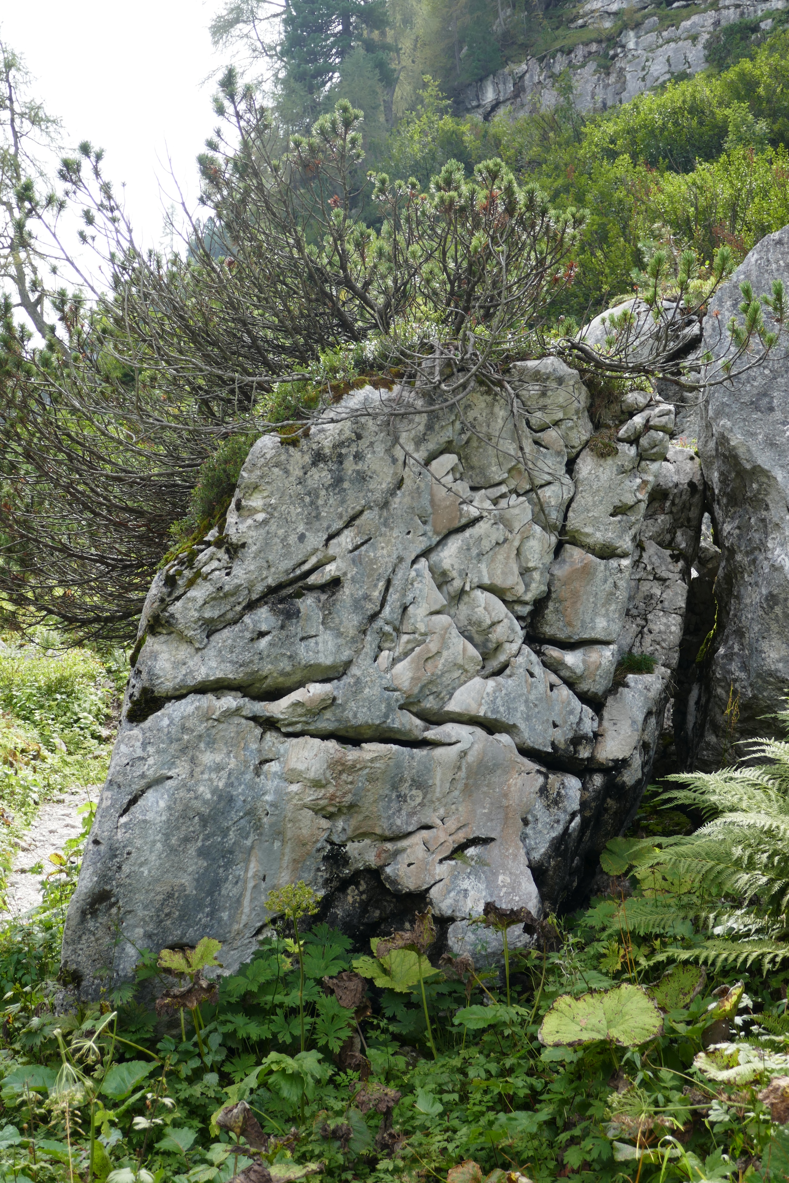 Felsen